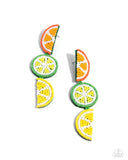 Fresh Fruit Multi ✧ Seed Bead Post Earrings