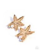 Starfish Sensation Gold ✧ Post Earrings