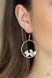 Cue The Confetti Gold ✧ Earrings Earrings