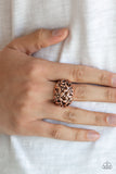 Haute Havana Copper ✧ Ring Ring