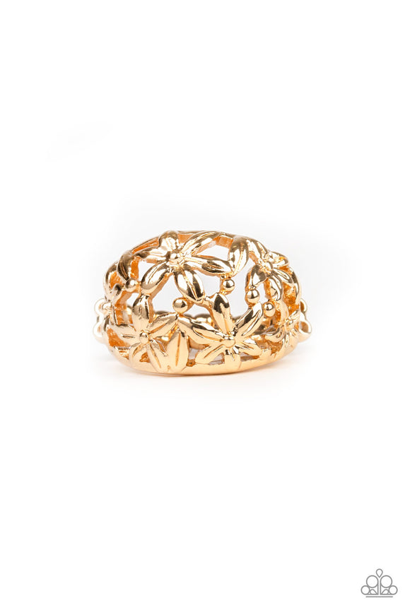 Haute Havana Gold ✧ Ring Ring