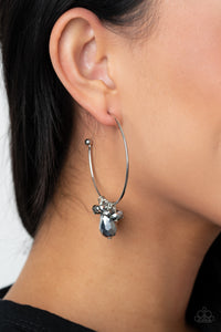 Earrings Fish Hook,Hematite,Silver,Dazzling Downpour Silver ✧ Earrings
