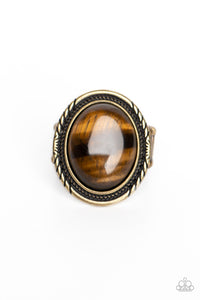 Brass,Ring Wide Back,Tiger's Eye,Stone Terrarium Brass ✧ Tiger's Eye Ring