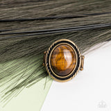 Stone Terrarium Brass ✧ Tiger's Eye Ring