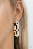 Swoon-Worthy Sparkle Gold ✧ Hoop Earrings