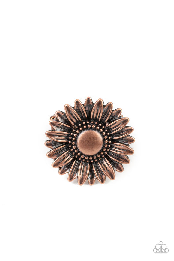 Farmstead Fashion Copper ✧ Ring Ring