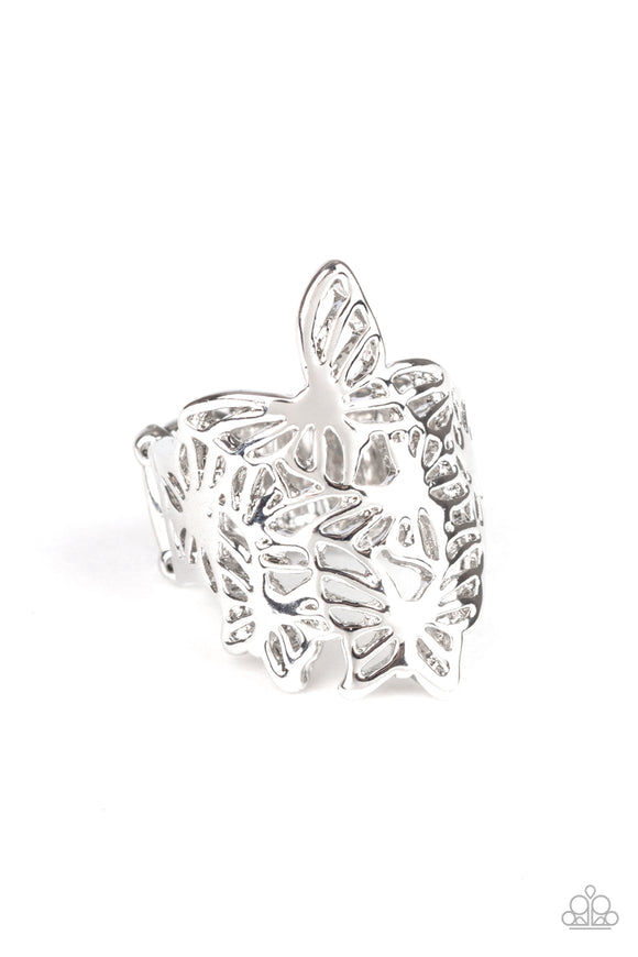 Banded Butterflies Silver ✧ Ring Ring