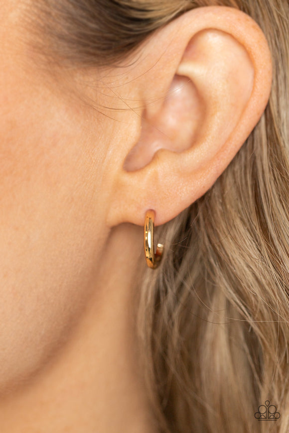 Small-Scale Shimmer Gold ✧ Hoop Earrings Hoop Earrings