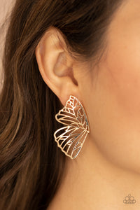 Butterfly,Earrings Post,Gold,Butterfly Frills Gold ✧ Post Earrings