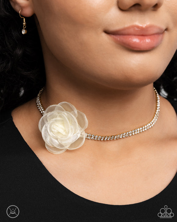 Rosy Range Gold ✧ Choker Necklace